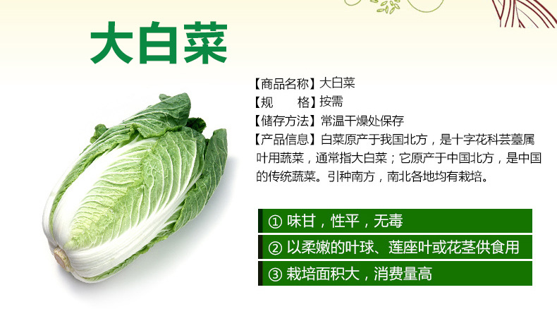 怡佳美果蔬 綠色健康，批發無憂——無公害大白菜的優選之道